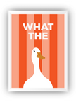 What the Duck Çerçeveli Poster