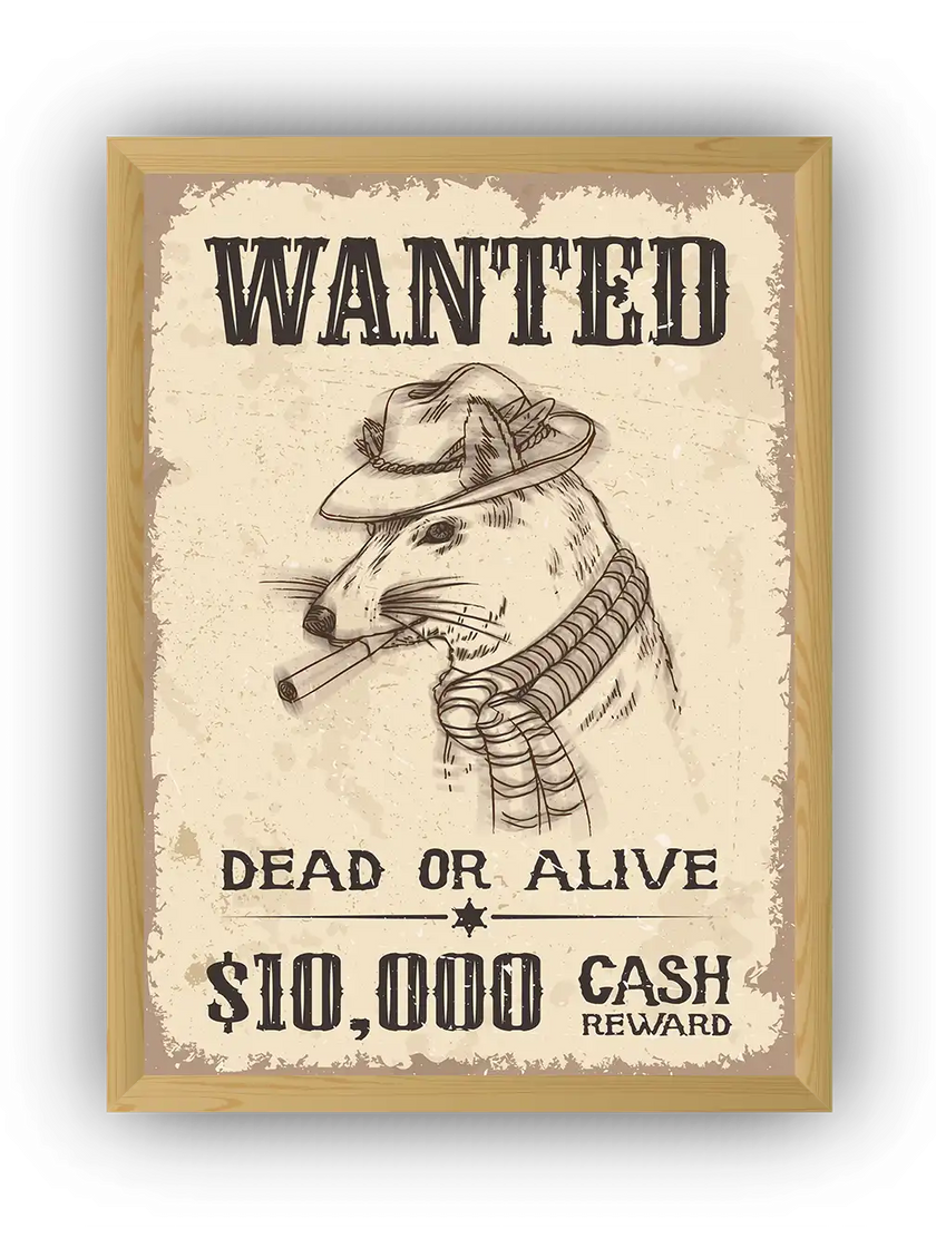 Wanted Fare Çerçeveli Poster
