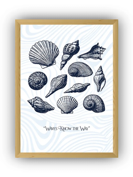 Deniz Kabukları Çerçeveli Poster