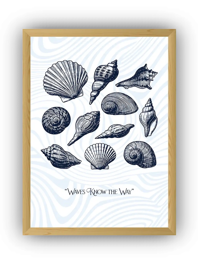 Deniz Kabukları Çerçeveli Poster